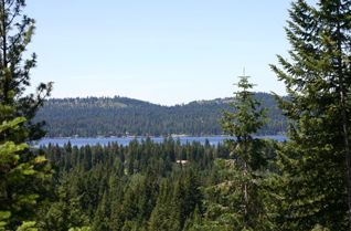 Featured Properties